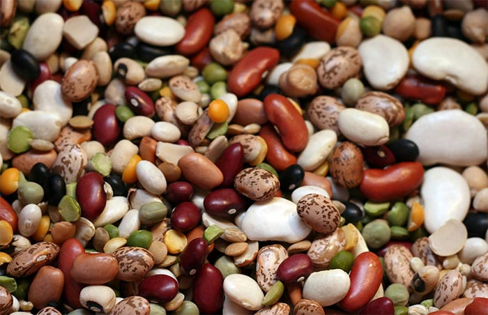 Can Beans Reduce Belly Fat