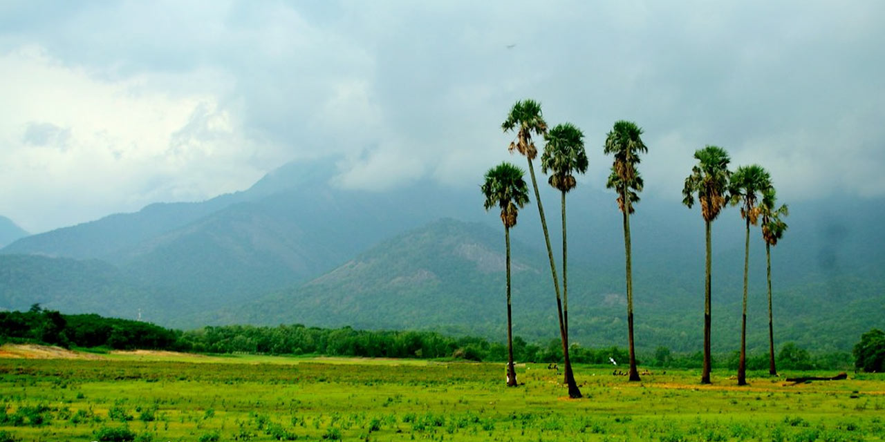 kadamkode palakkad tourist places